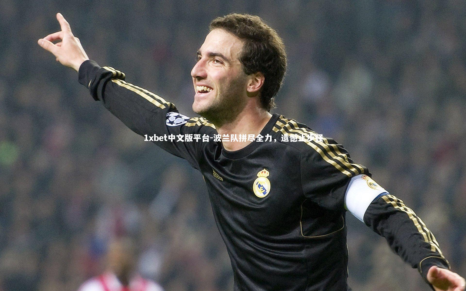 波兰队拼尽全力，遗憾止步强