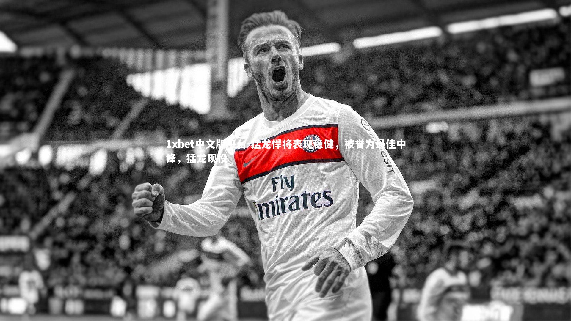 猛龙悍将表现稳健，被誉为最佳中锋，猛龙现役