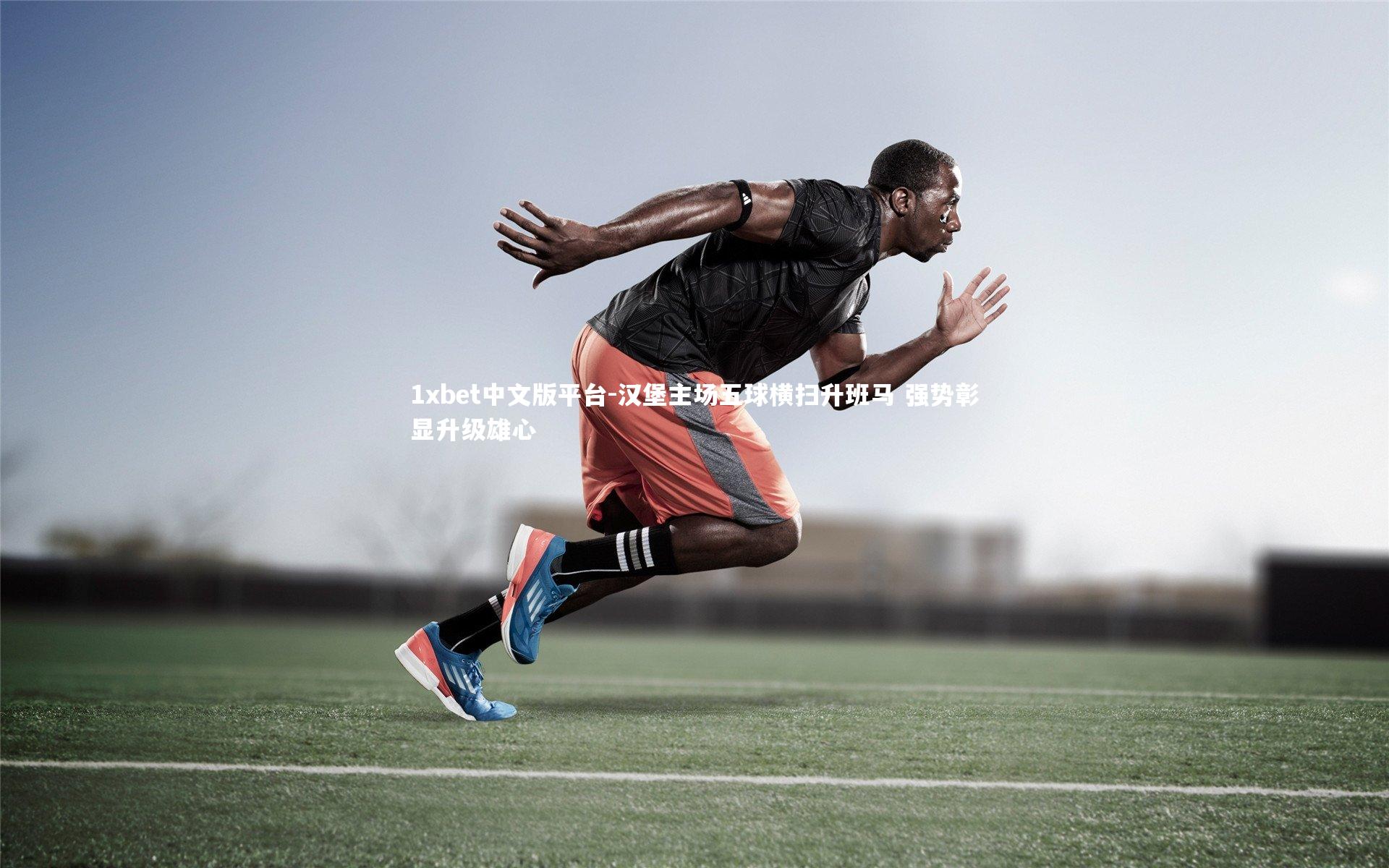 汉堡主场五球横扫升班马 强势彰显升级雄心